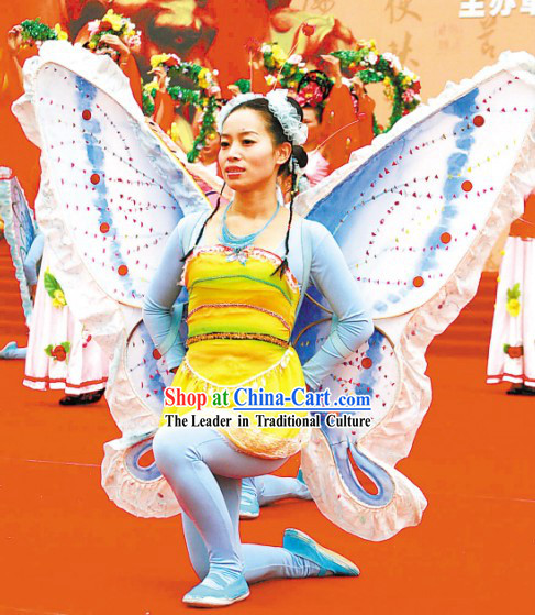Butterfly Chinese Folk Drama Costume