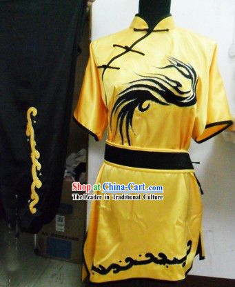 Dragon Tail Martial Arts Performance Silk Suit