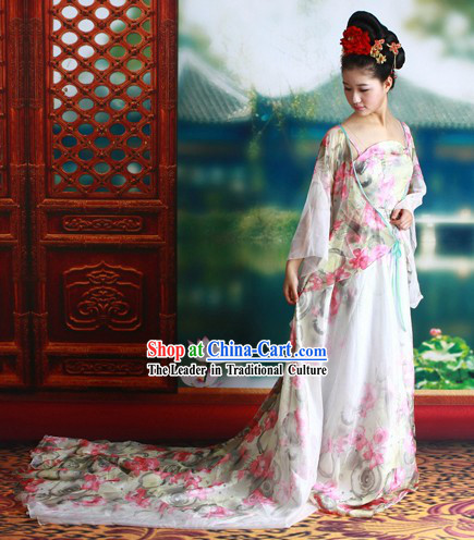 Tang Dynasty Palace Lady Costumes and Headpiece