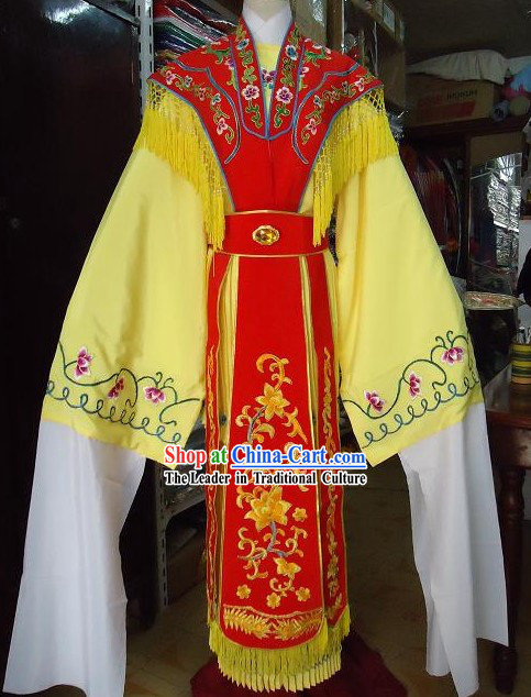 Traditional Chinese Long Sleeves Opera Palace Dancing Costumes for Women