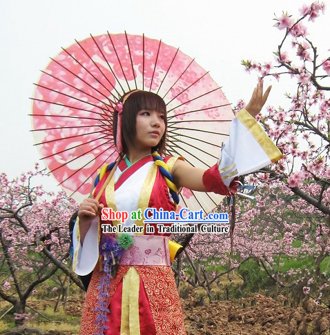 Ancient Chinese Swordswoman Cosplay