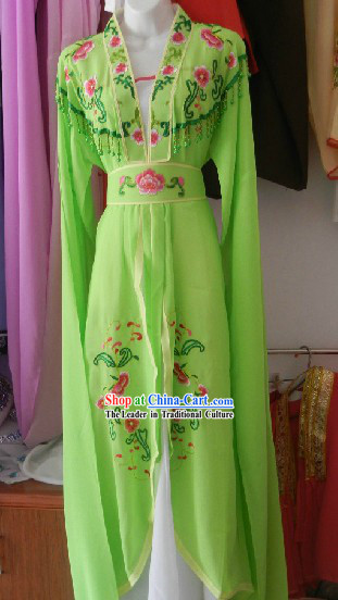 Chinese Opera Stage Performance Green Embroidered Costumes and Skirt for Women