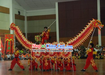 Top Professional Dragon Dance Costume for 9-10 People