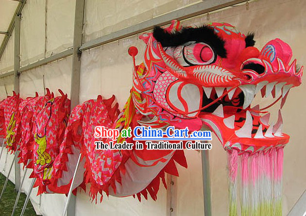 Chinese New Year Pink Dragon Dance Costume for 9-10 Females