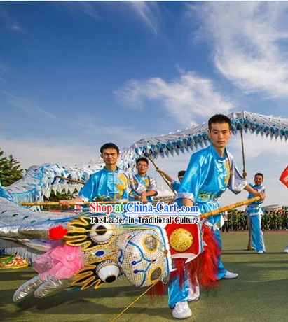 Traditional Silver Dragon Dance Equipment for Ten College Students