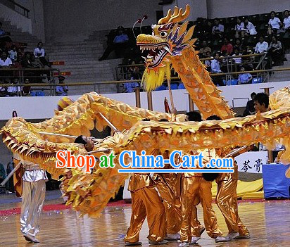 dragon dancing costume