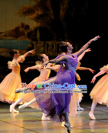 Top Ballet Costume Tutu Ballerina Dance Costumes Modern Dance Dancewear Dance Supply Tutus Free Custom Make Tu Tu