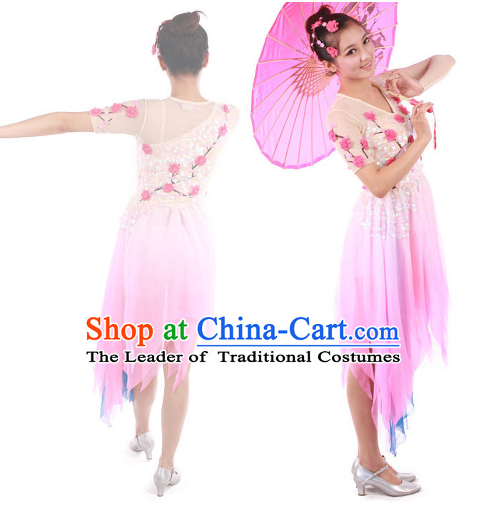 Chinese Teenagers Classic Dance Costumes for Competition