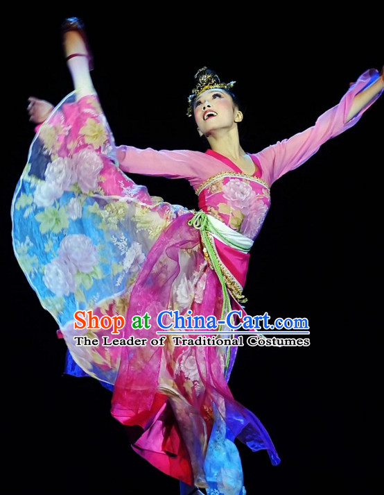 Tong Que Nv Traditional Chinese Classical Dancing Dancewear Dance Costumes for Women