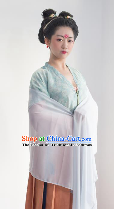Traditional Chinese Ancient Tang Dynasty Imperial Concubine Costume Complete Set for Women