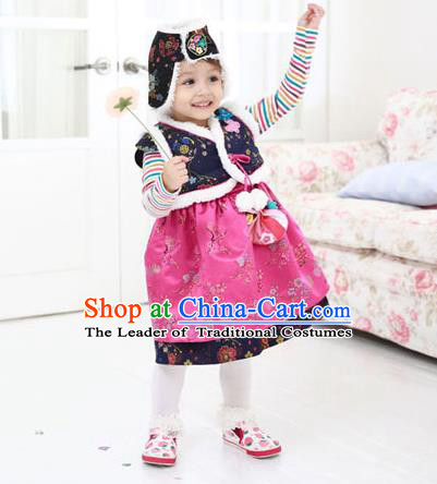 Asian Korean National Traditional Handmade Formal Occasions Girls Embroidery Hanbok Costume Blue Vest and Dress Complete Set for Kids