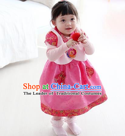 Asian Korean National Traditional Handmade Formal Occasions Girls Embroidery Hanbok Costume Pink Vest and Dress Complete Set for Kids