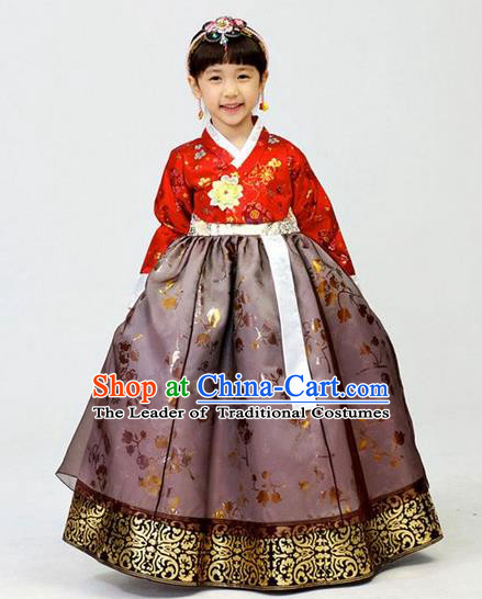 Asian Korean National Handmade Formal Occasions Wedding Girls Clothing Embroidered Red Blouse and Purple Dress Palace Hanbok Costume for Kids