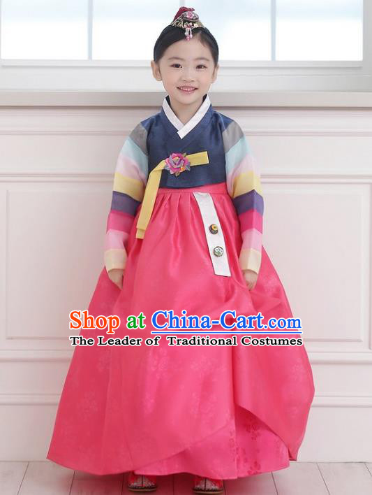 Asian Korean National Handmade Formal Occasions Wedding Girls Clothing Embroidered Navy Blouse and Pink Dress Palace Hanbok Costume for Kids