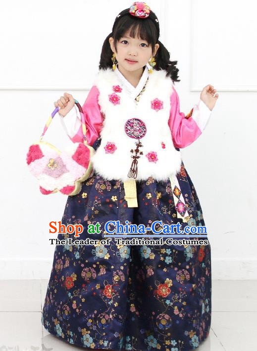 Asian Korean National Handmade Formal Occasions Wedding Girls Clothing White Embroidered Vest and Navy Dress Palace Hanbok Costume for Kids