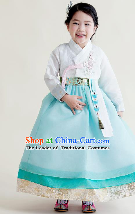 Asian Korean National Handmade Formal Occasions Wedding Girls Clothing Embroidered White Blouse and Blue Dress Palace Hanbok Costume for Kids