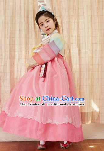 Korean National Handmade Formal Occasions Girls Clothing Palace Hanbok Costume Embroidered White Blouse and Pink Dress for Kids