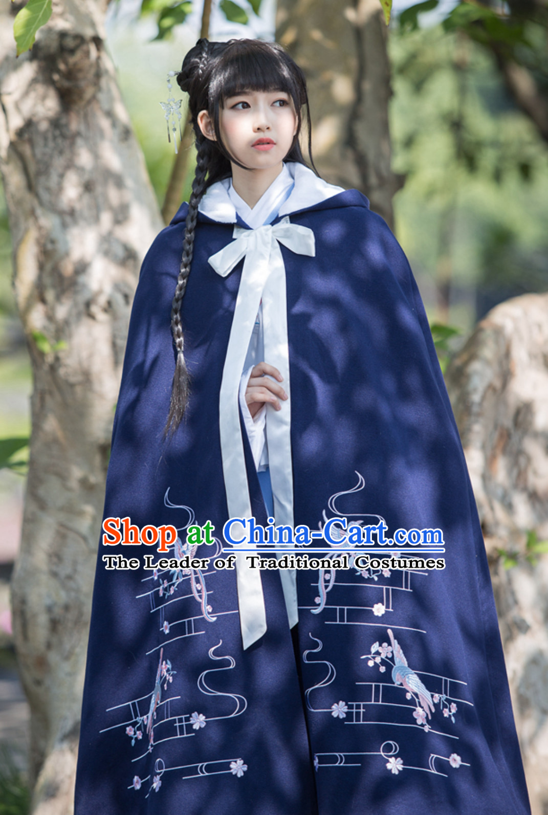 Ancient Chinese Style Embroidered Mantle Cape Hanfu Dress
