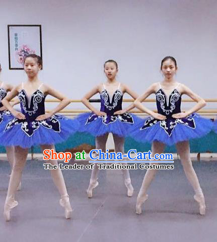Traditional Modern Dancing Compere Costume, Women Opening Classic Chorus Singing Group Dance Dress, Modern Dance Classic Ballet Dance Blue Veil Dress for Women