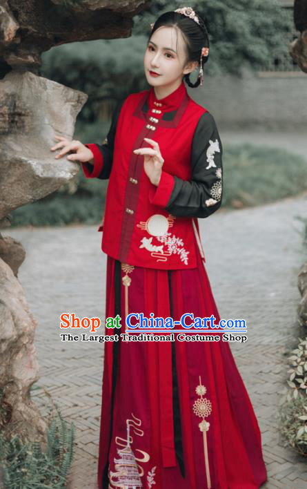 Chinese Ancient Embroidered Costumes Ming Dynasty Young Lady Hanfu Dress for Women