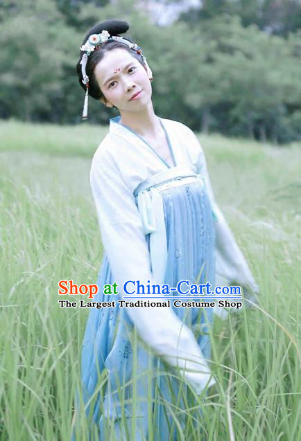 Chinese Ancient Palace Lady Hanfu Han Dynasty Imperial Concubine Queen Embroidered Historical Costumes