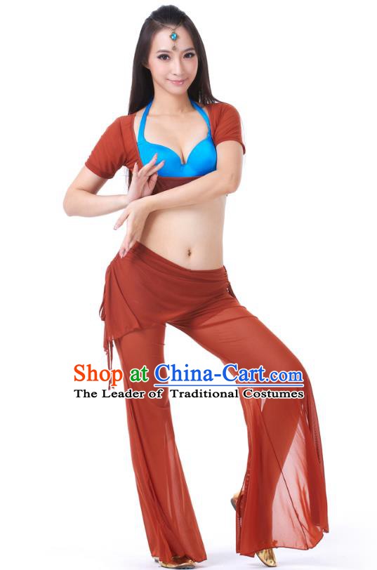 Asian Indian Belly Dance Uniform India Raks Sharki Dress Oriental Dance Clothing for Women