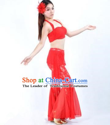 Indian National Belly Dance Red Lace Suits Bollywood Oriental Dance Costume for Women