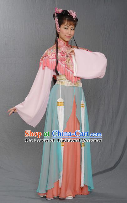 Chinese Ancient Ming Dynasty Princess Embroidered Dress Costume for Women