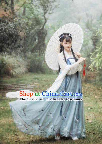 Ancient Chinese Traditional Tang Dynasty Princess Embroidered Costumes for Women