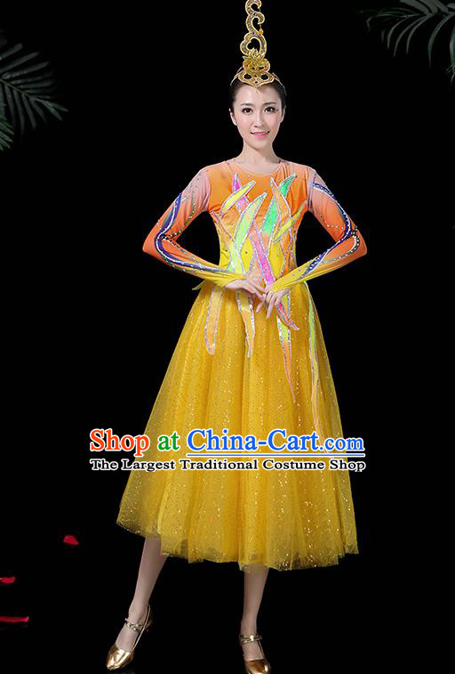 Professional Modern Dance Costume Chorus Folk Dance Yellow Veil Dress for Women
