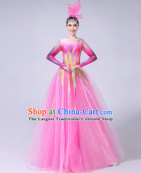Professional Modern Dance Costumes Stage Show Chorus Group Dance Pink Veil Dress for Women