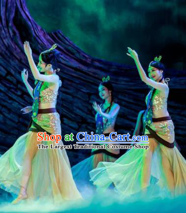 Chinese Lady Zhaojun Court Classical Dance Dress Stage Performance Dance Costume and Headpiece for Women