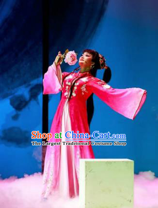 Huang Ye Hong Lou Chinese Peking Opera Lin Daiyu Rosy Dress Stage Performance Dance Costume and Headpiece for Women
