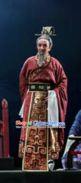 Chinese Shaoxing Opera Bronze Swallow Terrace Minister Clothing Stage Performance Dance Costume for Men