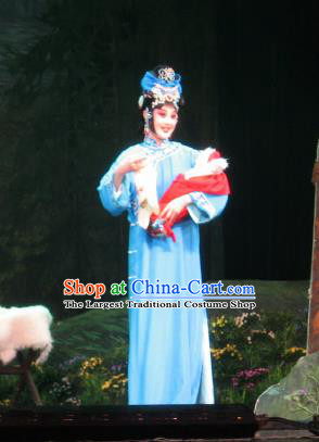 Su Wu In Desert Chinese Peking Opera Diva Blue Dress Stage Performance Dance Costume and Headpiece for Women