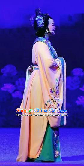 Amber Fate Chinese Beijing Opera Queen Mother Dress Stage Performance Dance Costume and Headpiece for Women