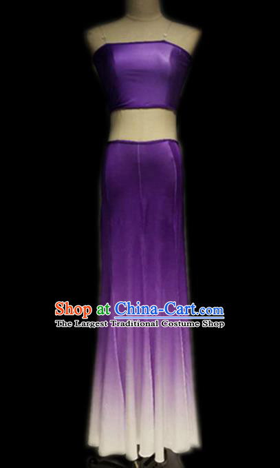 Traditional Chinese Classical Dance Costume China Peacock Dance Purple Dress for Women
