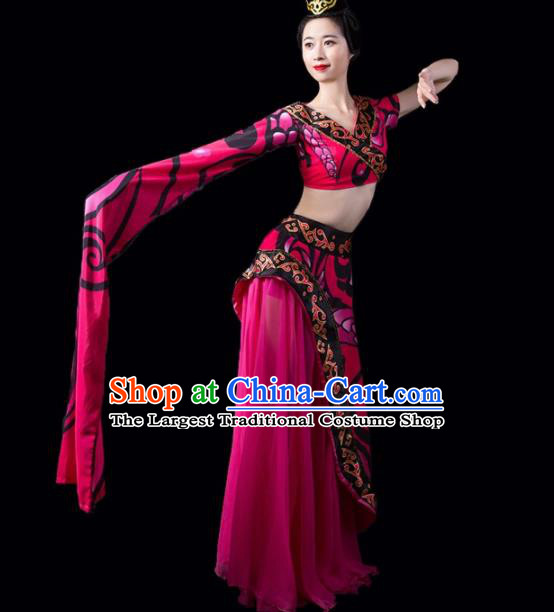 Chinese Traditional Classical Dance Costume Peri Dance Water Sleeve Rosy Dress for Women