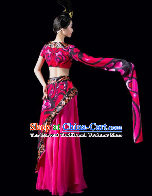 Chinese Traditional Classical Dance Costume Peri Dance Water Sleeve Rosy Dress for Women