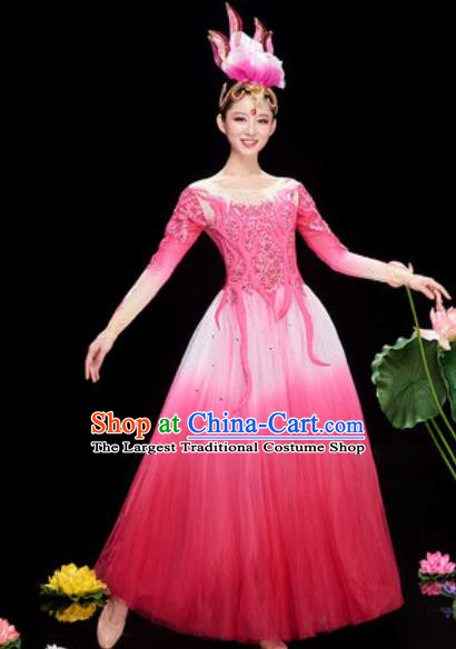 Chinese Traditional Chorus Pink Veil Dress Opening Dance Modern Dance Costume for Women