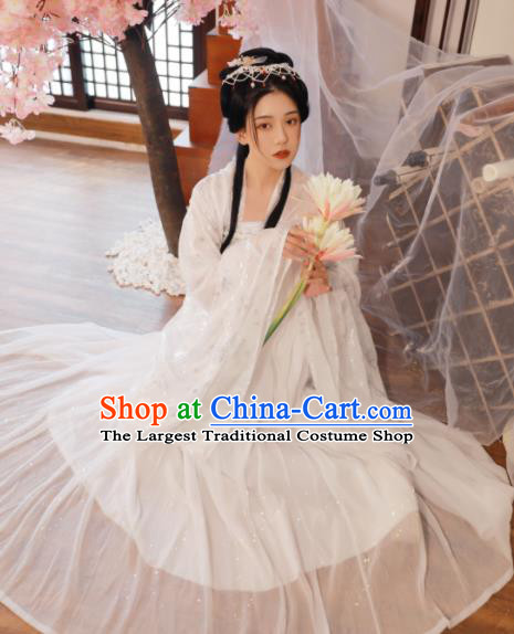Ancient Chinese Peri Princess Historical Costume Traditional Tang Dynasty Court Hanfu Dress for Women