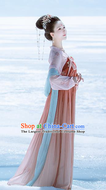 Traditional Chinese Ancient Peri Embroidered Historical Costume Tang Dynasty Imperial Consort Hanfu Dress for Women