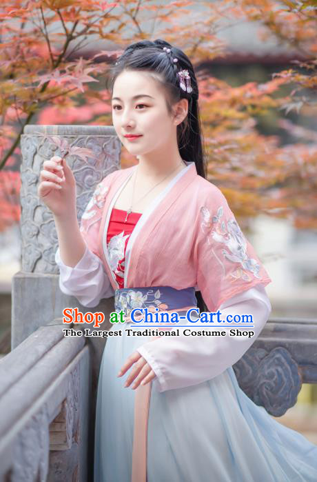 Chinese Ancient Young Lady Embroidered Hanfu Dress Antique Traditional Song Dynasty Historical Costume for Women