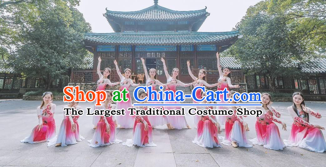 Traditional Chinese Classical Dance Fu Sheng Ci Costume Beautiful Dance Pink Dress for Women