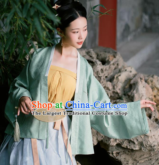 Chinese Ancient Female Civilian Dress Traditional Ming Dynasty Nobility Concubine Costumes for Women