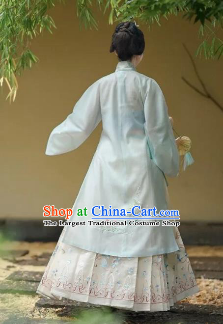 Chinese Ancient Taoist Nun Embroidered Dress Traditional Ming Dynasty Nobility Lady Costumes for Women