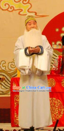Chinese Peking Opera Lao Sheng Apparels Costumes Four Scholars Elderly Male Garment and Headwear