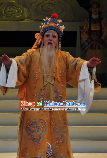 Chinese Yue Opera Elderly Male Garment Palm Civet for Prince Costumes and Headwear Shaoxing Opera Apparels Emperor Embroidered Robe
