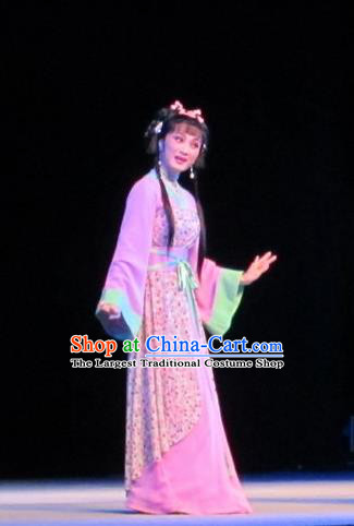 Chinese Shaoxing Opera Country Girl Li Da Dress Garment and Headpiece Bady from the Sea Yue Opera Xiaodan Apparels Costumes