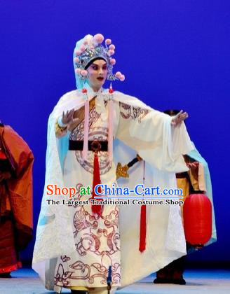 Chinese Classical Kun Opera Swordsman Garment The Purple Hairpin Peking Opera Niche Costumes Wusheng Apparels and Hat